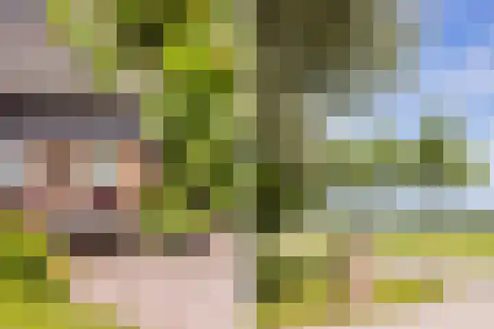 Sirtemawei 1 Ingelum thumbnail 13