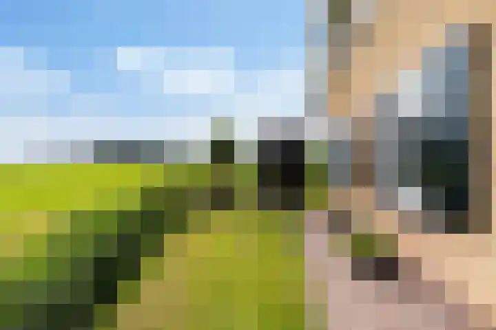 Sirtemawei 1 Ingelum thumbnail 28