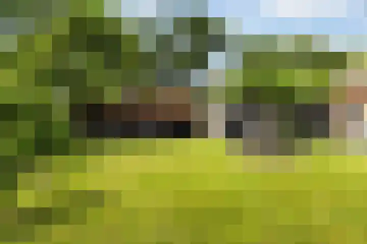 Sirtemawei 1 Ingelum thumbnail 31