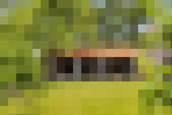 Sirtemawei 1 Ingelum thumbnail 33