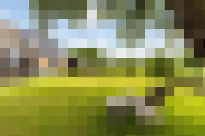 Sirtemawei 1 Ingelum thumbnail 35
