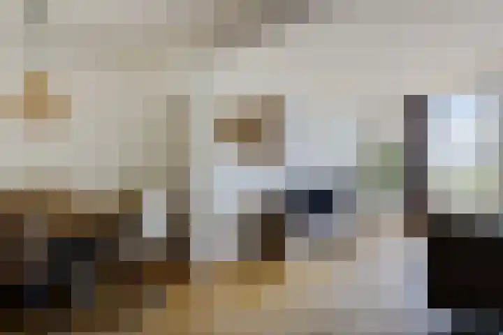 Sitadel 5 Akkrum thumbnail 13