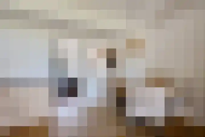 Sitadel 5 Akkrum thumbnail 14