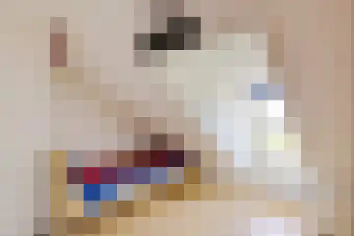 Sitadel 5 Akkrum thumbnail 25
