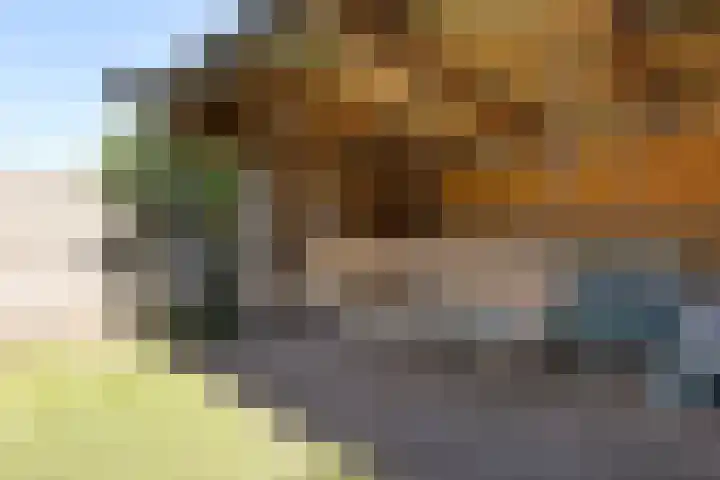 Sitadel 5 Akkrum thumbnail 32
