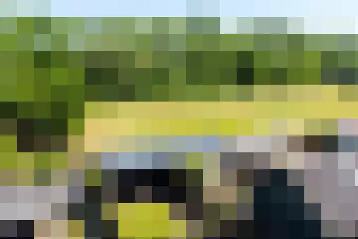 Sitadel 5 Akkrum thumbnail 40