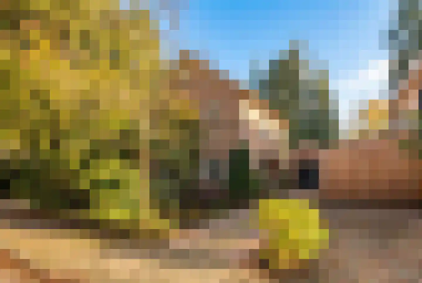Sitiolaan 14 Doorn thumbnail 30