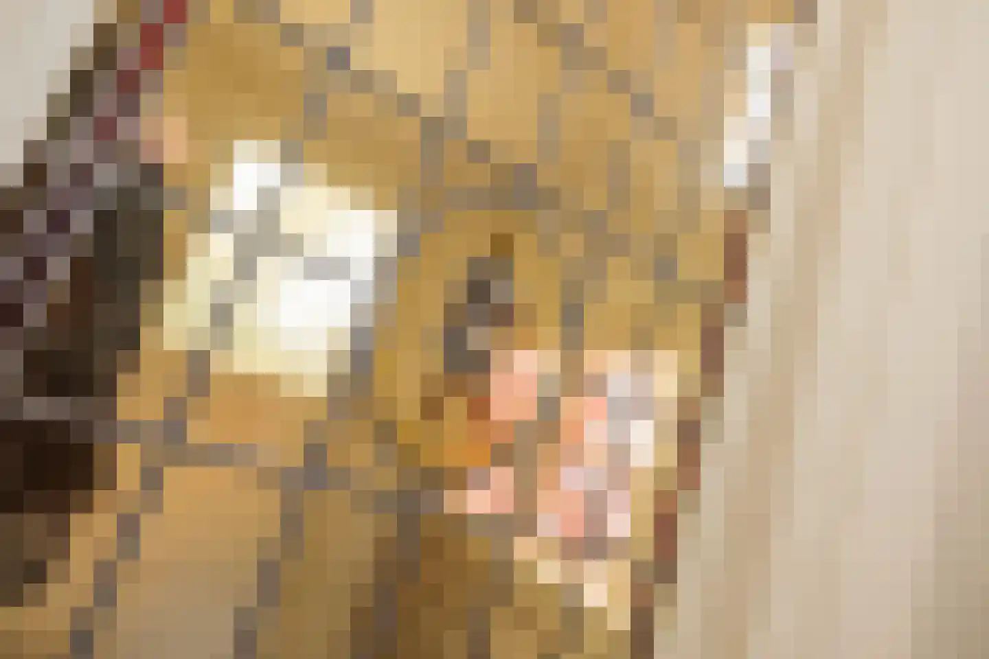 Sixlaan 4 Hillegom thumbnail 16