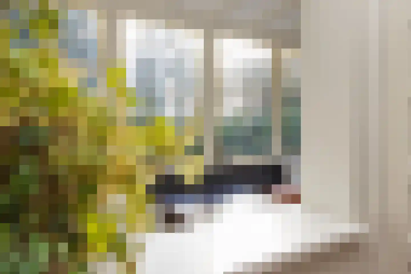 Sixlaan 4 Hillegom thumbnail 23