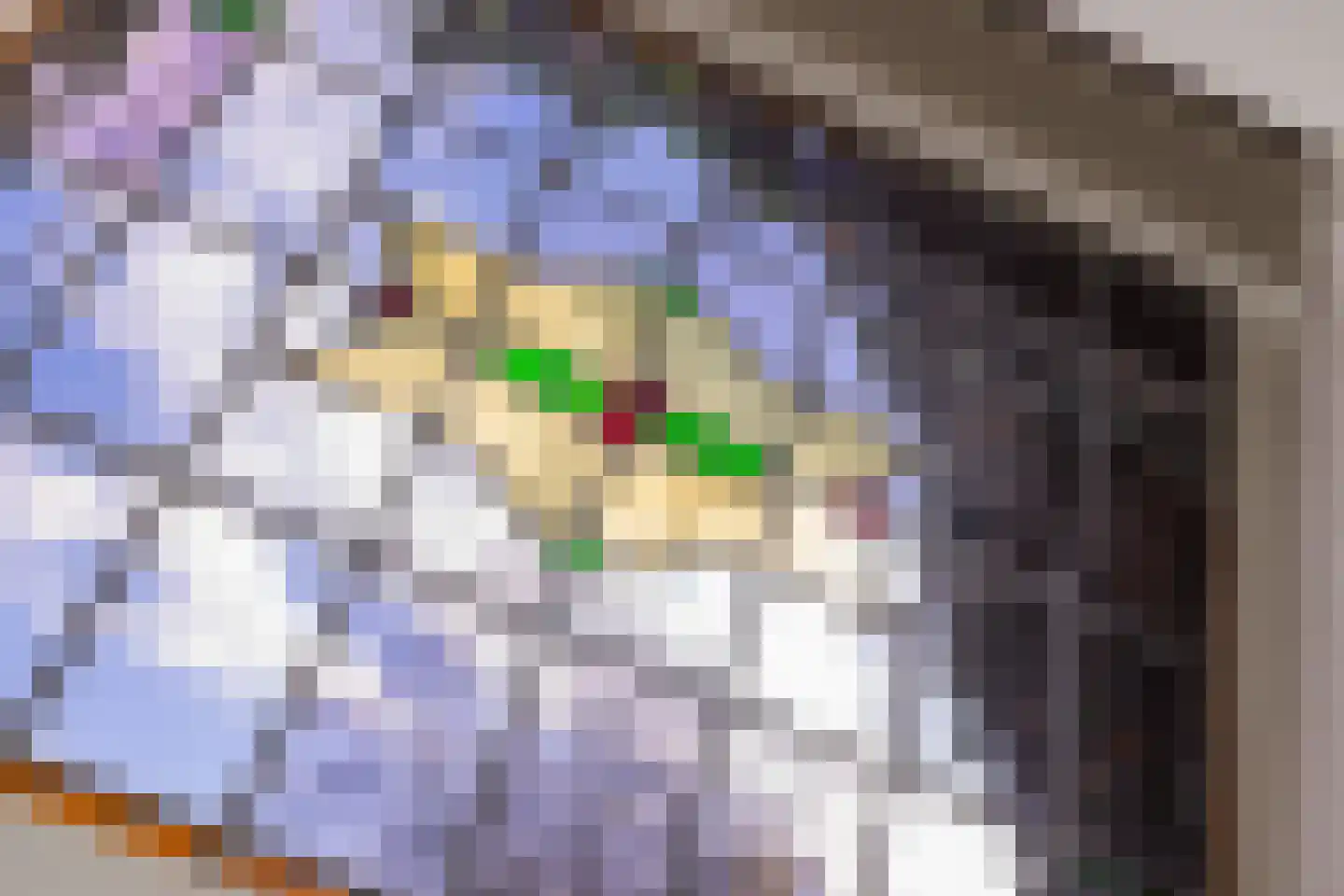 Sixlaan 4 Hillegom thumbnail 31