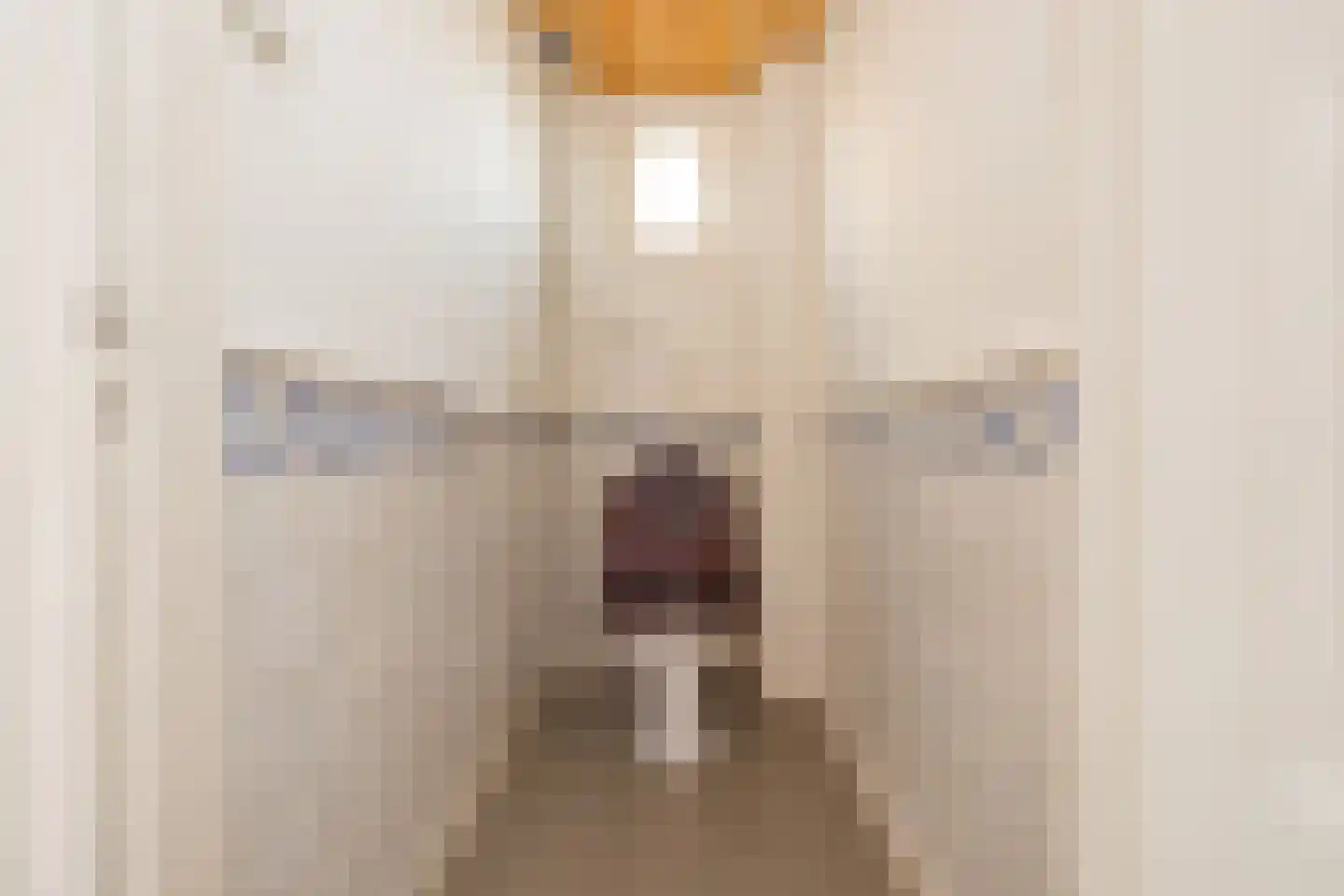 Sixlaan 4 Hillegom thumbnail 39