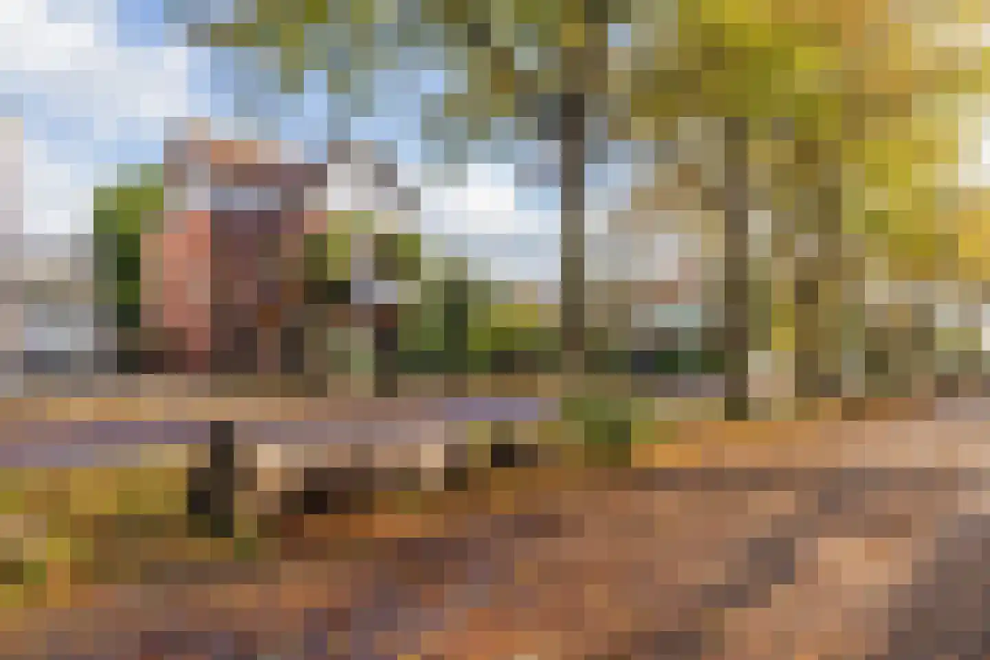 Sixlaan 4 Hillegom thumbnail 65