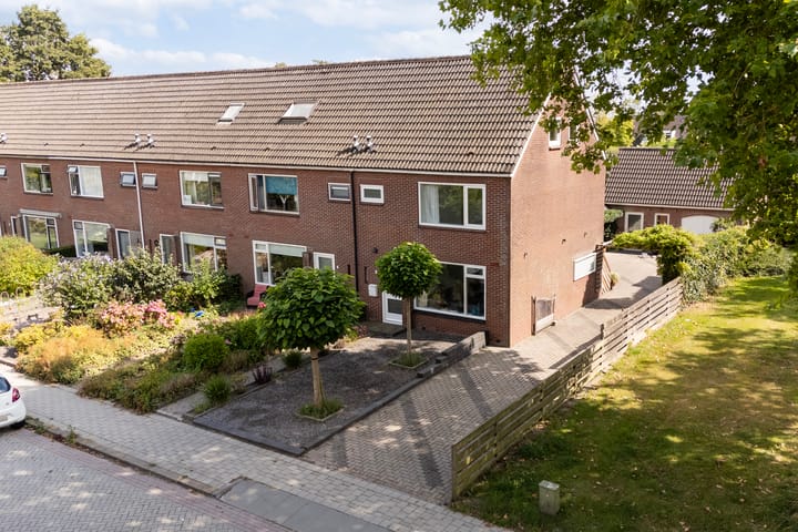 Sixmastins 2 in Stiens foto