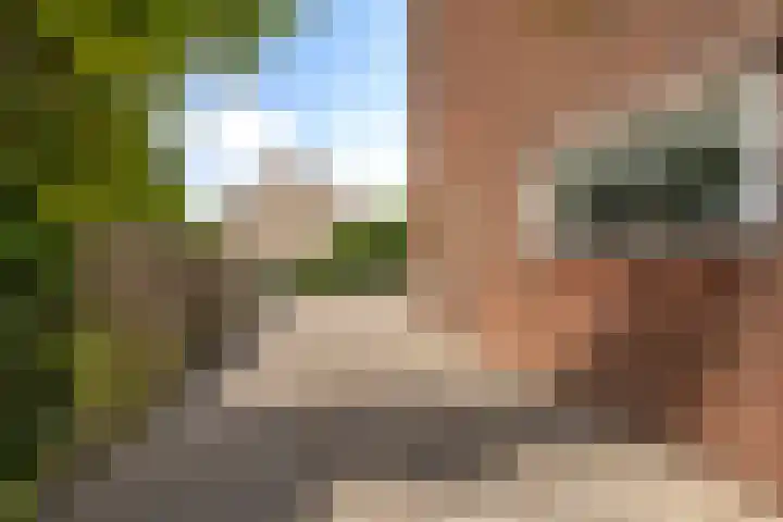 Sixmastins 2 Stiens thumbnail 11