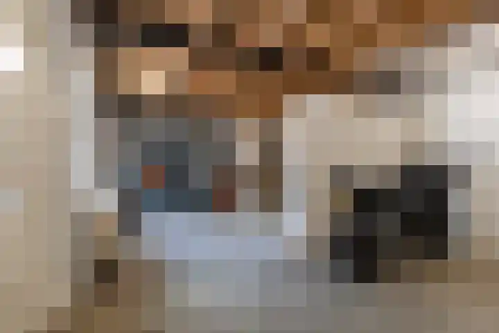Sixmastins 2 Stiens thumbnail 19