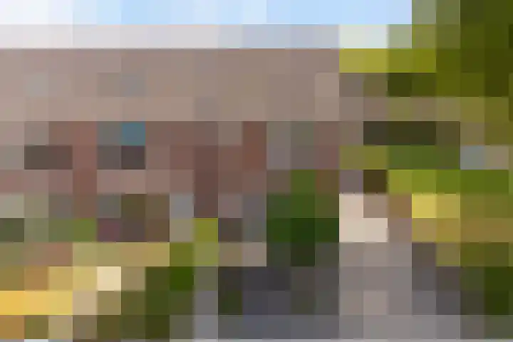 Sixmastins 2 Stiens thumbnail 21