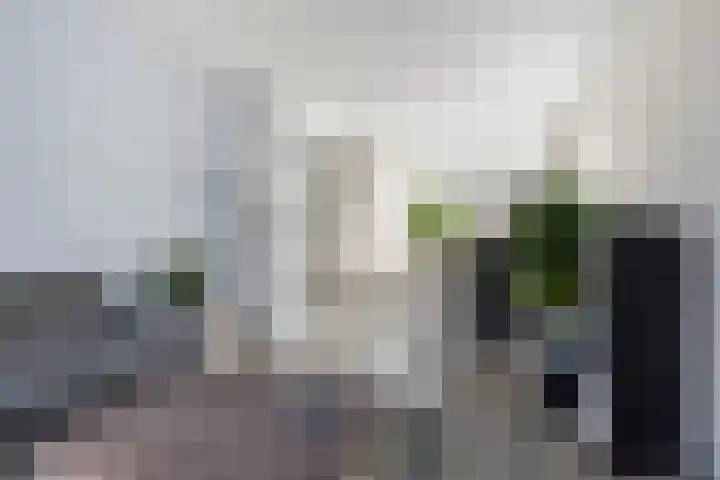 Sixmastins 2 Stiens thumbnail 27