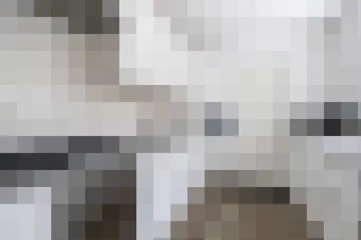 Sixmastins 2 Stiens thumbnail 34