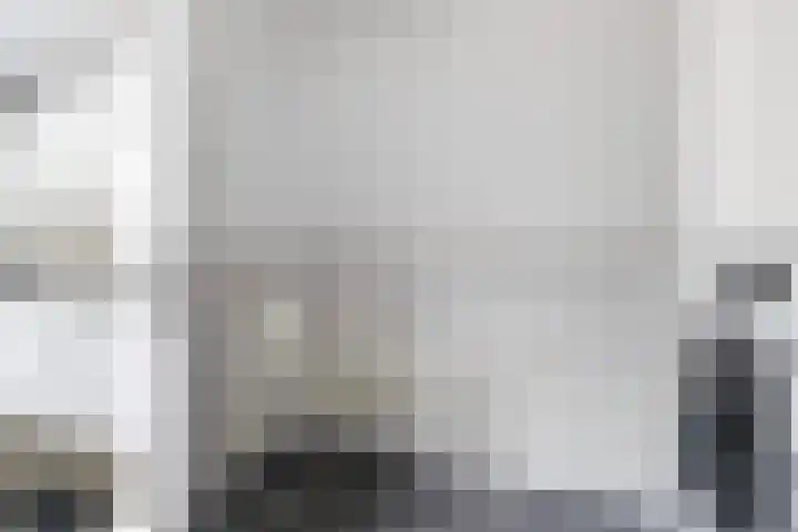 Sixmastins 2 Stiens thumbnail 37
