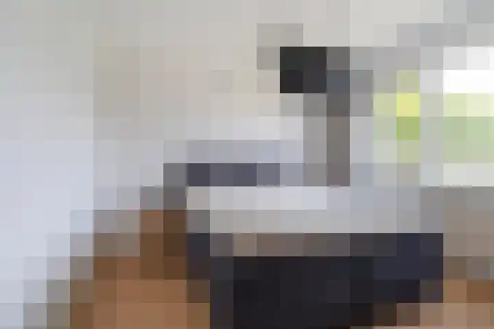 Sixmastins 2 Stiens thumbnail 40