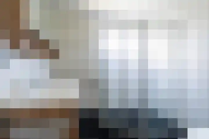 Sixmastins 2 Stiens thumbnail 42