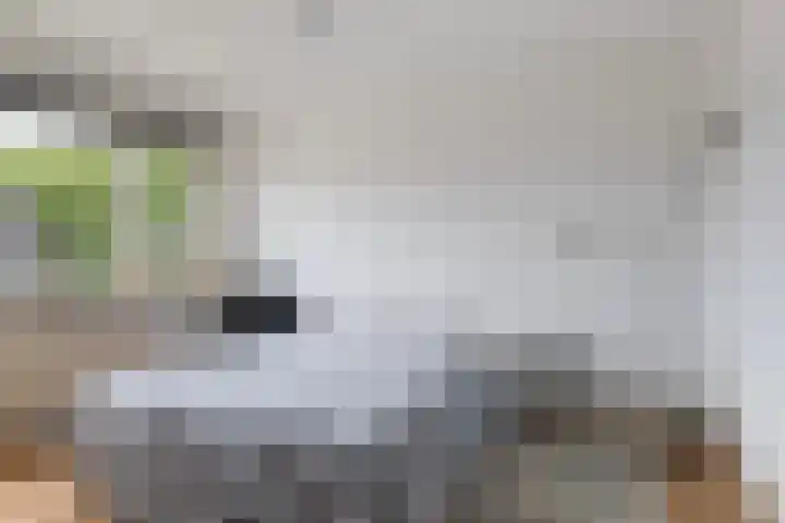 Sixmastins 2 Stiens thumbnail 44