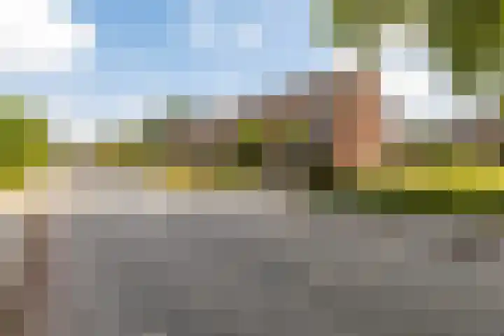 Sixmastins 2 Stiens thumbnail 5