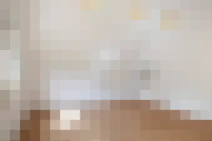 Sixmastins 2 Stiens thumbnail 50
