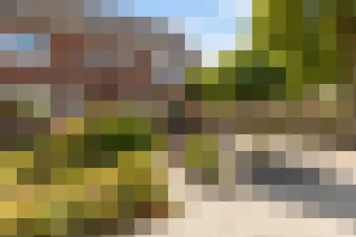 Sixmastins 2 Stiens thumbnail 7