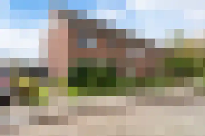 Sixmastins 32 Stiens