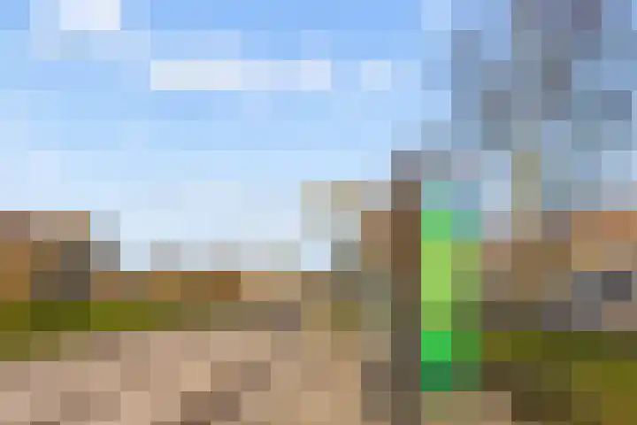 Sjorsstraat 3 Almere thumbnail 35