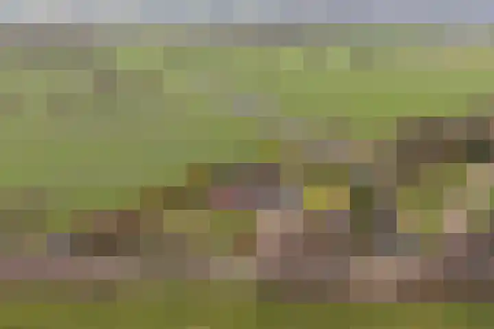 Skeane Heawei 18 Oudega foto 2