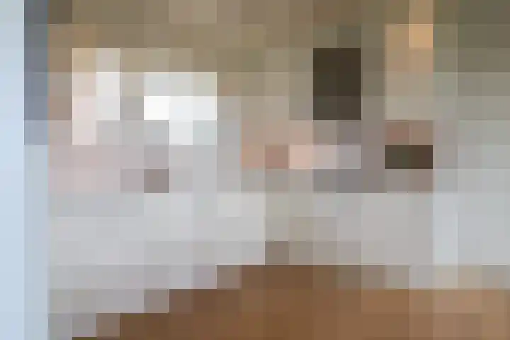 Skeane Heawei 18 Oudega thumbnail 32