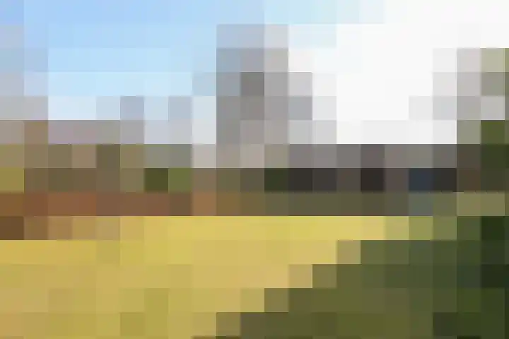 Skeane Heawei 18 Oudega thumbnail 62