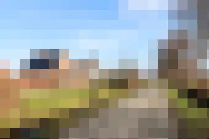 Skeane Heawei 18 Oudega thumbnail 70