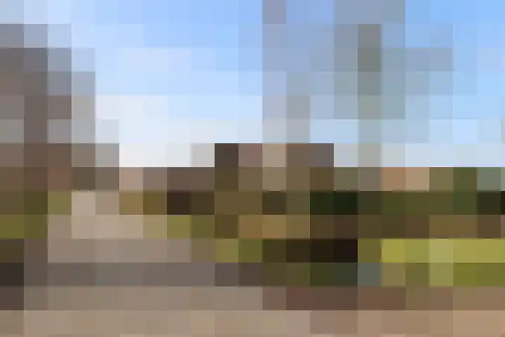 Skeane Heawei 18 Oudega thumbnail 71