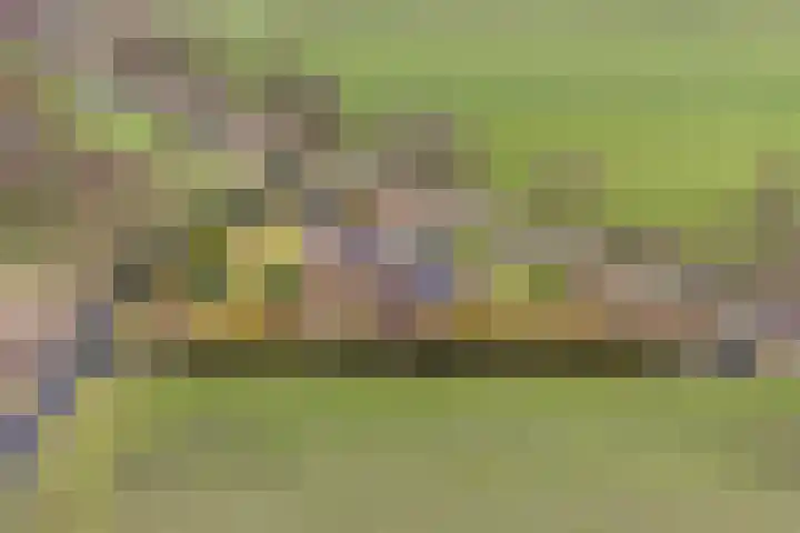 Skeane Heawei 18 Oudega thumbnail 72