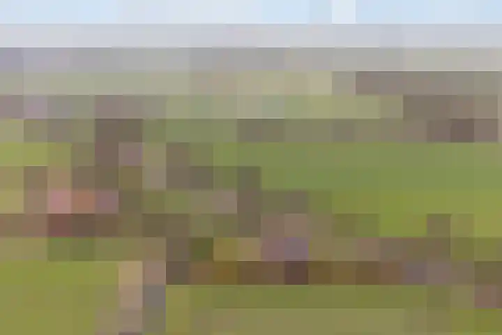 Skeane Heawei 18 Oudega thumbnail 73
