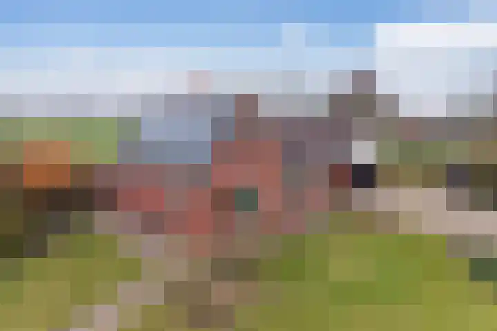 Skeane Heawei 18 Oudega thumbnail 77