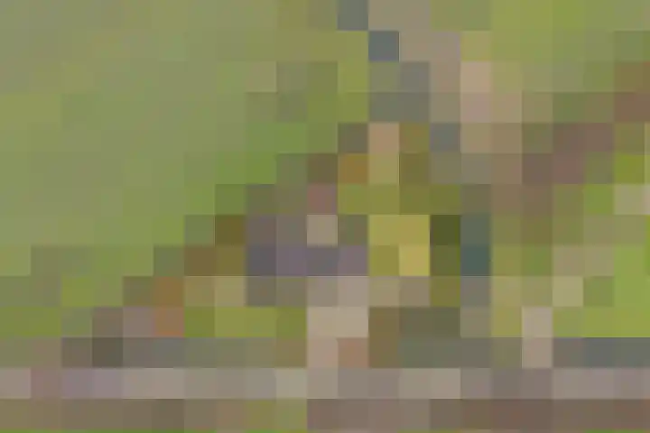 Skeane Heawei 18 Oudega thumbnail 79