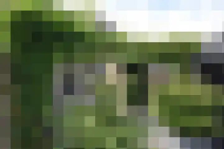 Skeanpaad 24 Garyp thumbnail 13