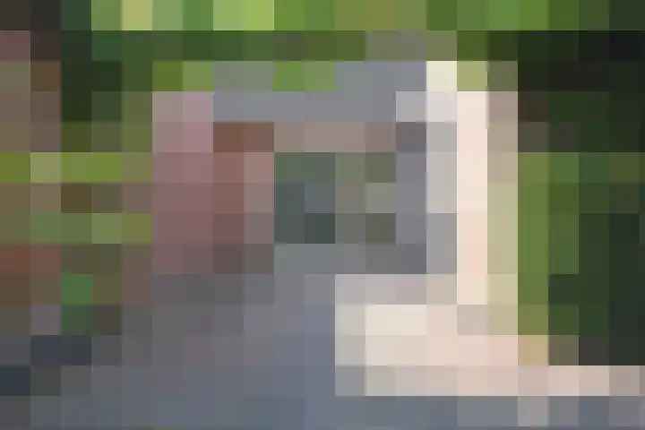 Skeanpaad 24 Garyp thumbnail 14
