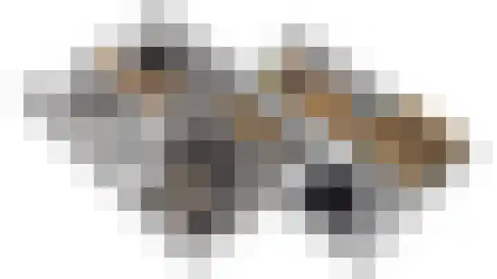 Skeanpaad 24 Garyp thumbnail 15