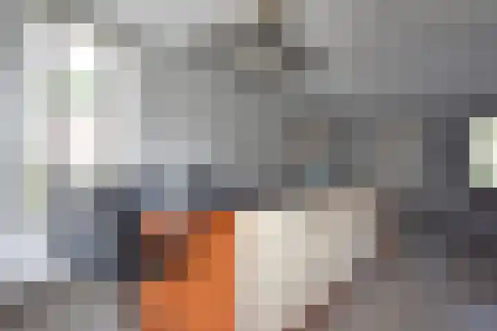Skeanpaad 24 Garyp thumbnail 22