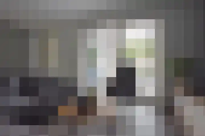 Skeanpaad 24 Garyp thumbnail 26