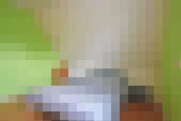 Skeanpaad 24 Garyp thumbnail 41