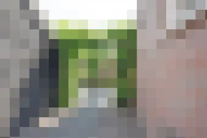 Skeanpaad 24 Garyp thumbnail 7