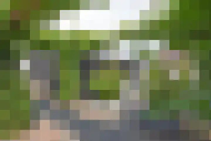 Skeanpaad 24 Garyp thumbnail 8
