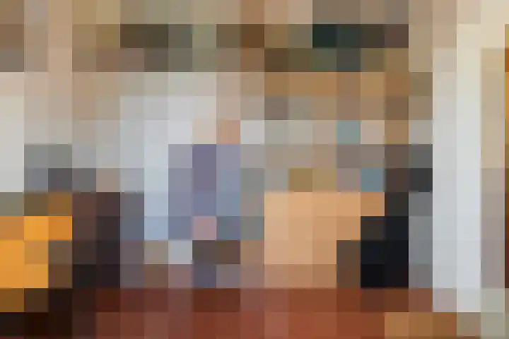 Skilpaed 3 Menaam thumbnail 13