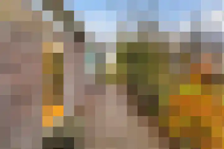 Skilpaed 3 Menaam thumbnail 15